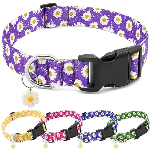 BiPawTi Niedliches Hundehalsband, weiches Blumenhalsband mit Gänseblümchen-Anhängern für mittelgroße Hunde (Größe M, Violett) von BiPawTi