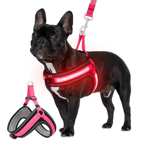 Kleines LED-Hundegeschirr mit blinkendem Licht, leuchtet im Dunkeln, verstellbares beleuchtetes Hundegeschirr mit 3 Leuchtmodi, wiederaufladbar, beleuchtetes Westengeschirr für nächtliche Spaziergänge Kleines LED-Hundegeschirr mit blinkendem Licht, leuchtet im Dunkeln, verstellbares beleuchtetes Hundegeschirr mit 3 Leuchtmodi, wiederaufladbar, beleuchtetes Westengeschirr für nächtliche Spaziergänge von BiPawTi