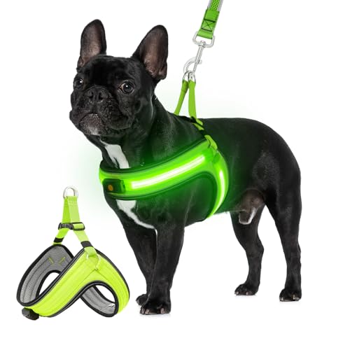 Leuchtendes Hundegeschirr, Größe M, Step-in-Hundegeschirr mit blinkendem Licht, leuchtet im Dunkeln, wiederaufladbares LED-Hundegeschirr mit 3 Leuchtmodi, perfekt für Camping mit Ihrem Hund, Grün Leuchtendes Hundegeschirr, Größe M, Step-in-Hundegeschirr mit blinkendem Licht, leuchtet im Dunkeln, wiederaufladbares LED-Hundegeschirr mit 3 Leuchtmodi, perfekt für Camping mit Ihrem Hund, Grün von BiPawTi