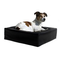 Bia Bed Original - Schwarz - 50 x 60 x 12 cm Bia Bed Original - Schwarz - 50 x 60 x 12 cm von Biabed