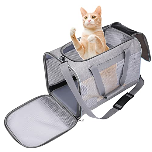 Bibykivn Katzentransportbox, Hundetasche Tragetasche für Katze kleine Hund, Faltbare katzentasche transporttasche für Haustiere im Auto Flugzeug oder in der Bahn (Grau) von Bibykivn