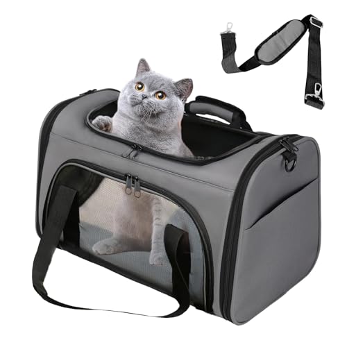 Bibykivn Transporttasche für Katze Hund, Katzentransportbox, Faltbar Hundetasche Transporttasche mit Kissen,Katzen Transportboxen mit Verstellbarem Schultergurt für Kleine Hunde von 15 Pfund… von Bibykivn