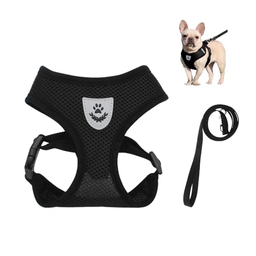 Bieiyhe Katzengeschirr mit Leine Ausbruchsicher M, Hundegeschirr Welpen Verstellbar,Sicherheitsgeschirr Katze Brustgeschirr,Katzenleine Kittengeschirr,Cat Harnesses,Cat Leash für Kitten Hunde -Schwarz Bieiyhe Katzengeschirr mit Leine Ausbruchsicher M, Hundegeschirr Welpen Verstellbar,Sicherheitsgeschirr Katze Brustgeschirr,Katzenleine Kittengeschirr,Cat Harnesses,Cat Leash für Kitten Hunde -Schwarz von Bieiyhe