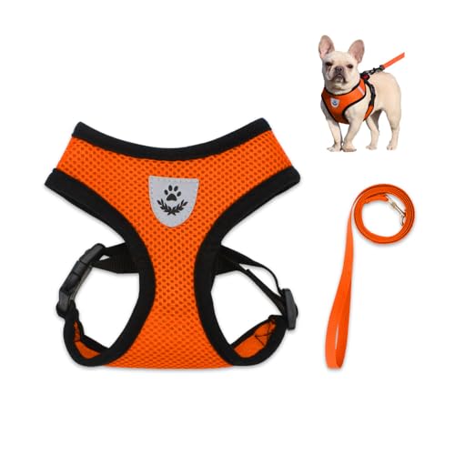 Bieiyhe Katzengeschirr mit Leine Ausbruchsicher M, Hundegeschirr Welpen Verstellbar,Sicherheitsgeschirr Katze Brustgeschirr,Katzenleine Kittengeschirr,Cat Harnesses,Cat Leash für Kitten Hunde -Orange Bieiyhe Katzengeschirr mit Leine Ausbruchsicher M, Hundegeschirr Welpen Verstellbar,Sicherheitsgeschirr Katze Brustgeschirr,Katzenleine Kittengeschirr,Cat Harnesses,Cat Leash für Kitten Hunde -Orange von Bieiyhe