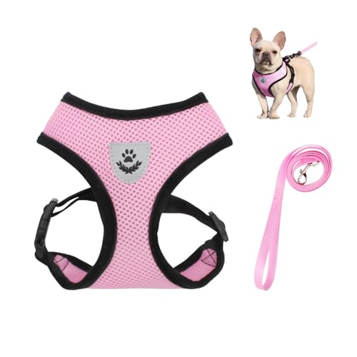 Bieiyhe Katzengeschirr mit Leine Ausbruchsicher S, Hundegeschirr Welpen Verstellbar,Sicherheitsgeschirr Katze Brustgeschirr,Katzenleine Kittengeschirr,Cat Harnesses,Cat Leash für Kitten Hunde -Rosa Bieiyhe Katzengeschirr mit Leine Ausbruchsicher S, Hundegeschirr Welpen Verstellbar,Sicherheitsgeschirr Katze Brustgeschirr,Katzenleine Kittengeschirr,Cat Harnesses,Cat Leash für Kitten Hunde -Rosa von Bieiyhe