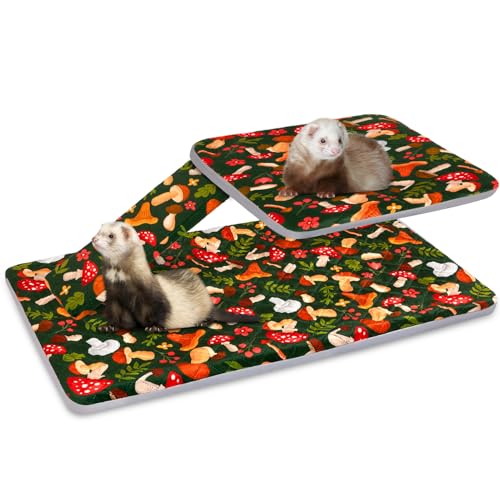 Bienbee Frettchenkäfig-Set für Frettchen-Nation und Tier-Nation-Käfig, wasserdichtes Frettchen-Käfig-Zubehör für Kleintiere, Ratten, Chinchillas, Igel, Frettchen (grüner Pilz von Bienbee