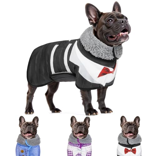 Bienbee Hunde-Bademantel zum Trocknen von Hunden, schnell trocknender Hundemantel nach dem Baden, super saugfähiges Hundehandtuch, niedliche Kleidung, Pyjama, Mantel, Schwarz, Größe M Bienbee Hunde-Bademantel zum Trocknen von Hunden, schnell trocknender Hundemantel nach dem Baden, super saugfähiges Hundehandtuch, niedliche Kleidung, Pyjama, Mantel, Schwarz, Größe M von Bienbee