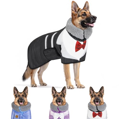 Bienbee Hunde-Bademantel zum Trocknen von Hunden, schnell trocknender Hundemantel nach dem Baden, super saugfähiges Hundehandtuch, niedliche Kleidung, Pyjama, Mantel, Schwarz, Größe XXL von Bienbee