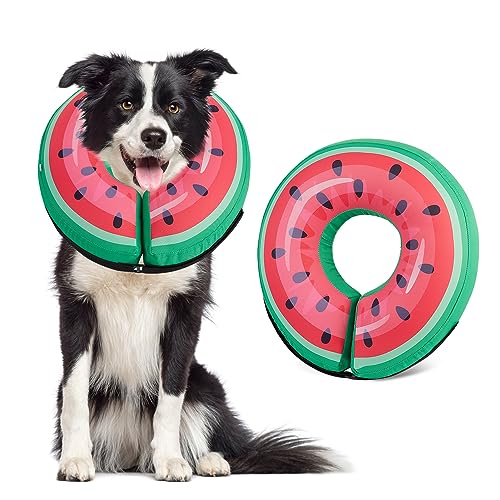 Bienbee Hunde-Donut-Halsband, Alternative nach Operationen, aufblasbares Hundehalsband, weiche Hundekegel für mittelgroße Hunde, um das Lecken zu stoppen von Bienbee