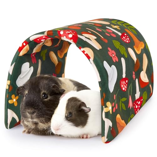 Bienbee Meerschweinchentunnel, Meerschweinchenversteck Waschbarer Kaninchentunnel und Hasenhaus, Kaninchenspielzeug in Käfigen für Meerschweinchen, Hase, Kaninchen, Kleintiere, Grüner Pilz Bienbee Meerschweinchentunnel, Meerschweinchenversteck Waschbarer Kaninchentunnel und Hasenhaus, Kaninchenspielzeug in Käfigen für Meerschweinchen, Hase, Kaninchen, Kleintiere, Grüner Pilz von Bienbee