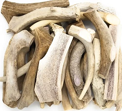 Big Dog Antler Chews Packung mit 1 Pfund Kauknochen für Hunde aus Hirschgeweih und Elch, die in der Sonne gereift sind, natürliche, gesunde und langlebige Leckerlis von Big Dog Antler Chews