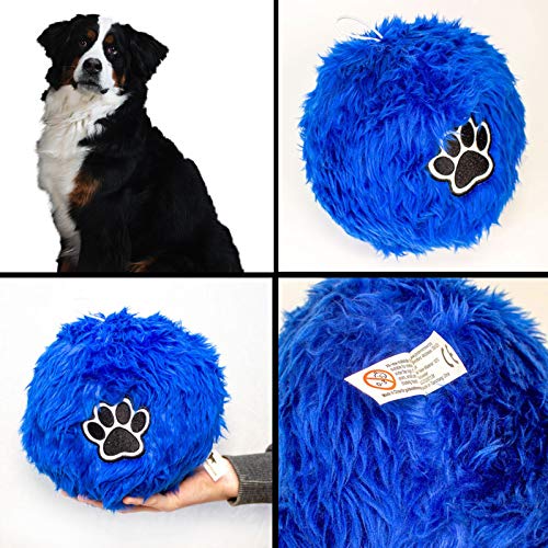 Weicher flauschiger Ball für Berner Sennenhund, großer Ball Weicher flauschiger Ball für Berner Sennenhund, großer Ball von Big Red Egg