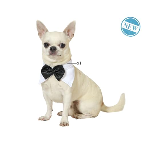 Hundekostüm-Fliege, M, Marke: BigBuy Carnival - EAN:8422259798101 Hundekostüm-Fliege, M, Marke: BigBuy Carnival - EAN:8422259798101 von BigBuy Carnival
