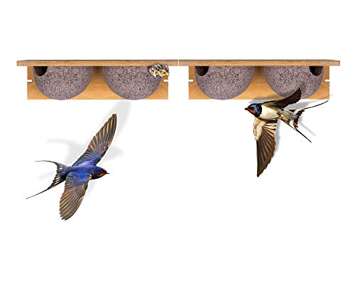 BigDean 2 Stück Schwalbennistkasten Doppelnest Schwalbennest Mehlschwalbennest Nistkasten Nisthilfe Schwalben Holzbeton BigDean 2 Stück Schwalbennistkasten Doppelnest Schwalbennest Mehlschwalbennest Nistkasten Nisthilfe Schwalben Holzbeton von BigDean