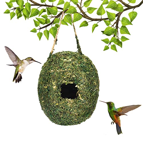 Handgefertigtes Vogelnest, 2 Stück Vogelhaus, hängende Vogelnestkästen, kleines Vogelnest geeignet für kleine Vögel wie Kolibris Gürtel von BigKing