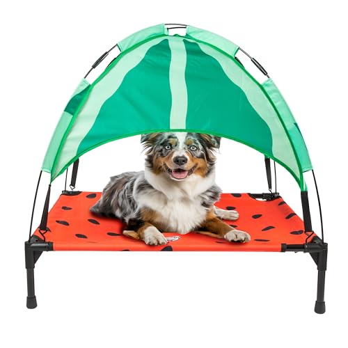 BigMouth Inc. Wassermelone Erhöhtes Bett für Hunde, Größe M BigMouth Inc. Wassermelone Erhöhtes Bett für Hunde, Größe M von BigMouth