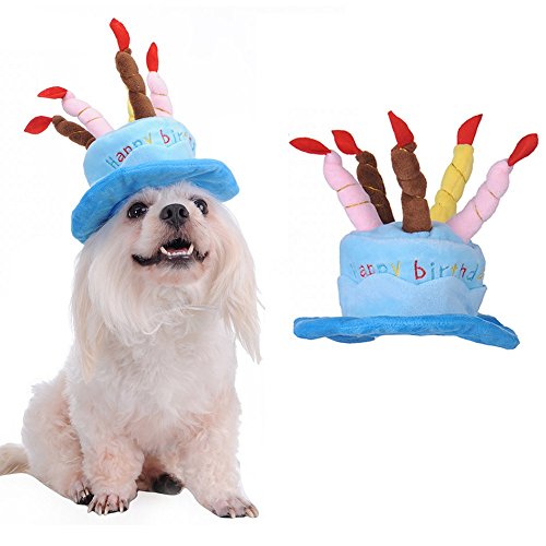 BigTron Hunde-Hut mit Kuchenkerzen, Party-Zubehör, Kopfbedeckung, Blau von BigTron