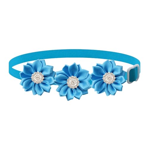 Bigougem Haustierzubehör, weiches Haustierhalsband, verstellbar, Blumenmuster, Strass, Haustierhalsband für Katzen, Hunde, modisch, leicht, Haustierzubehör, Blau Bigougem Haustierzubehör, weiches Haustierhalsband, verstellbar, Blumenmuster, Strass, Haustierhalsband für Katzen, Hunde, modisch, leicht, Haustierzubehör, Blau von Bigougem