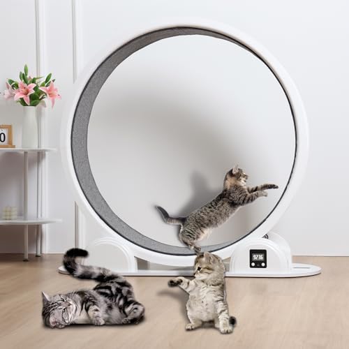 Katzenlaufrad, Laufband für Katzen mit einem Durchmesser von 110cm, Indoor-Laufband für große Katzen, ultraleises Laufband für Katzen, Kunststoff-Haustier-Laufband Katzenlaufrad, Laufband für Katzen mit einem Durchmesser von 110cm, Indoor-Laufband für große Katzen, ultraleises Laufband für Katzen, Kunststoff-Haustier-Laufband von Bigougem