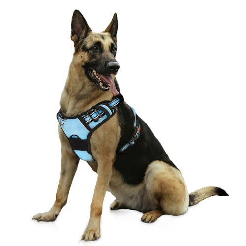 Bihotzak Arnes Hundegeschirr, klein, mittelgroß, ohne Ziehen, verstellbar, atmungsaktiv, reflektierend, mit Sicherheitsverschlüssen (Blau, M) von Bihotzak