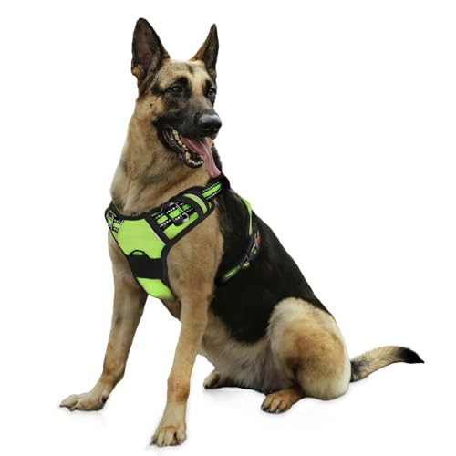 Bihotzak Arnes Hundegeschirr, klein, mittelgroß, ohne Ziehen, verstellbar, atmungsaktiv, reflektierend, mit Sicherheitsverschlüssen (Grün, M) von Bihotzak