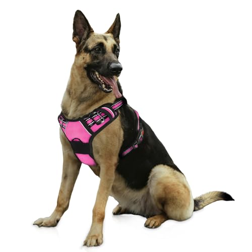 Bihotzak Arnes Hundegeschirr, klein, mittelgroß, ohne Ziehen, verstellbar, atmungsaktiv, reflektierend, mit Sicherheitsverschlüssen (Rosa, M) von Bihotzak