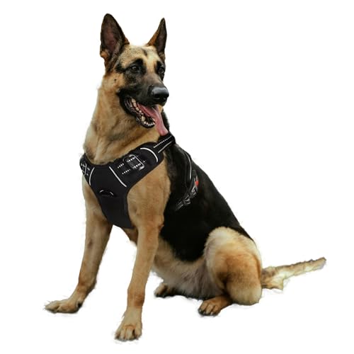 Bihotzak Arnes Hundegeschirr, klein, mittelgroß, ohne Ziehen, verstellbar, atmungsaktiv, reflektierend, mit Sicherheitsverschlüssen (Schwarz, M) von Bihotzak