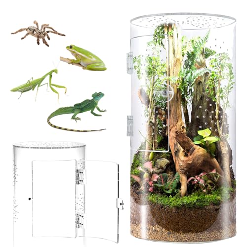 Biigdan Zylindrischer Terrarium, Vivarium, Acryl Terrarium Schnecken - 360° Panorama Reptilien Faunabox, für Springspinnen, Gottesanbeterin, Geckos, Schnecken, Laubfrösche, Käfer von Biigdan