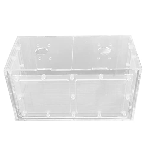 Aquarium-Inkubator, Transparente Mesh-Seiten-Fischzuchtbox, Schützende, Verstellbare Hakenlänge, Schlagfest, für Kleine Aquarienfische (20 * 10 * 11CM) von Biitfuu