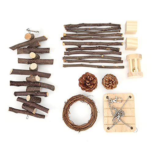 Biitfuu Hamster Kauspielzeug, 10 Stück Kleintier Molaren Spielzeug Zahnpflege Holzzubehör für Meerschweinchen Chinchillas Rennmäuse Mäuse von Biitfuu