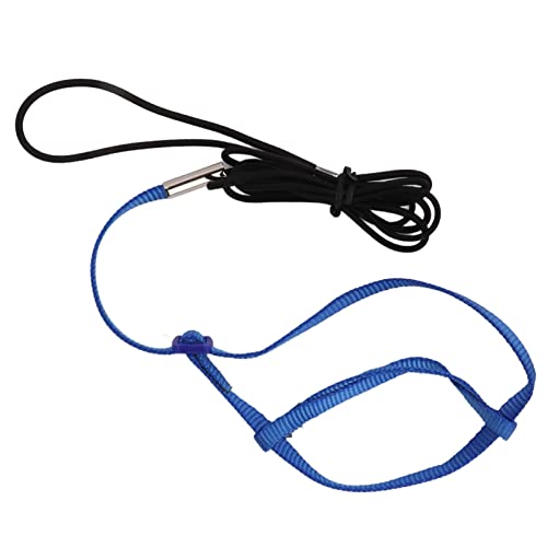 Biitfuu Pet Parrot Harness Leine, Anti-Biss Einstellbares Papageien-Flugtrainingsseil Zum Gehen Teilnahme an Party Lovebird Outdoor-Training (Saphir) von Biitfuu