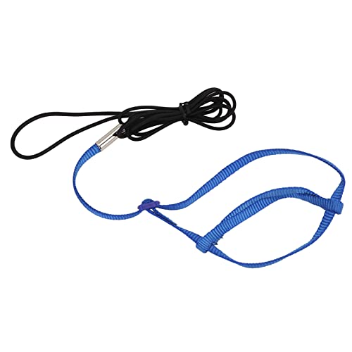 Biitfuu Pet Parrot Harness Leine, Anti-Biss Einstellbares Papageien-Flugtrainingsseil Zum Gehen Teilnahme an Party Lovebird Outdoor-Training (Saphir) von Biitfuu