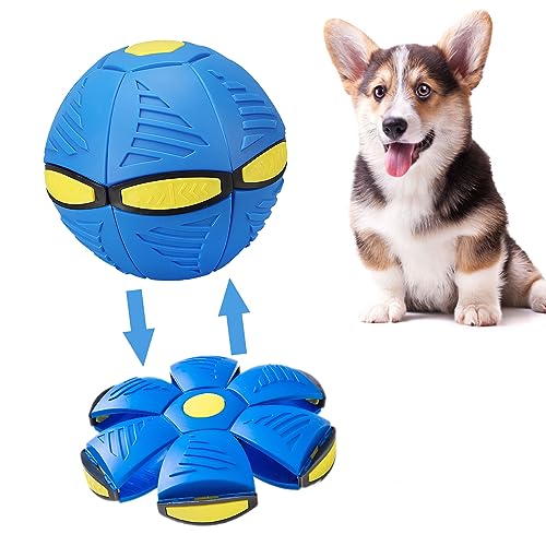 Hundespielzeug Fliegende Untertasse Ball von Bikirin