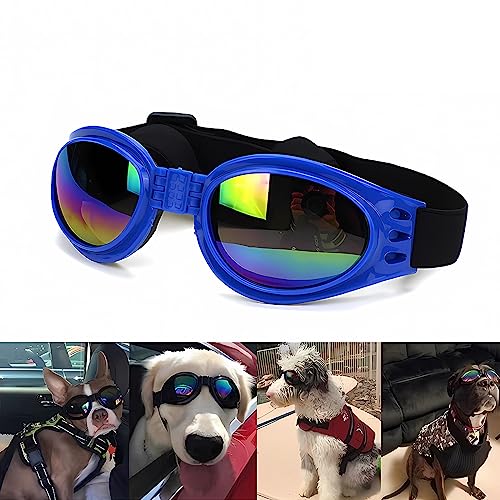 Bikirin UV-Schutz Haustier Sonnenbrille und Brille für Hunde und Katzen, Kleine und mittlere Rasse Spezialisiert, Verstellbare Ohrbänder, Brille Schneeschutz Windschutz (Blau) von Bikirin