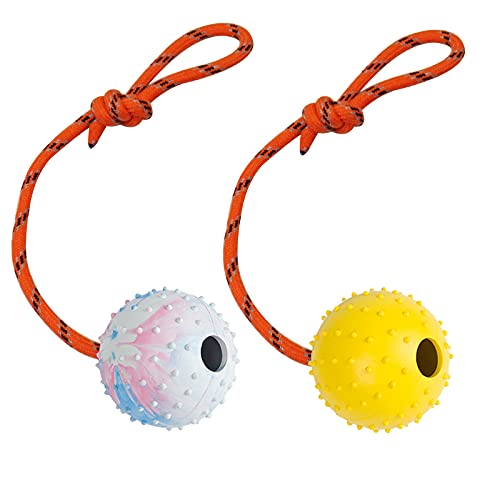 Nevperish Hundeball, K9-Ball, Vollgummiball am Seil für Belohnung, Apportieren, Spielen, 2 Stück (7 cm) von Nevperish