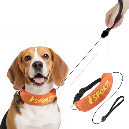 BillionChains 2-in-1-Hundehalsband mit einziehbarem Welpenhalsband und Leine, verstellbare Welpenhalsbänder für kleine Hunde BillionChains 2-in-1-Hundehalsband mit einziehbarem Welpenhalsband und Leine, verstellbare Welpenhalsbänder für kleine Hunde von BillionChains