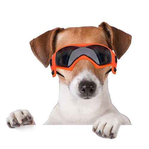 BillionChains Hundebrille mit verstellbarem Riemen, Hundesonnenbrille, UV-Schutz, Winddicht, Hundebrille für Hunde, Orange BillionChains Hundebrille mit verstellbarem Riemen, Hundesonnenbrille, UV-Schutz, Winddicht, Hundebrille für Hunde, Orange von BillionChains