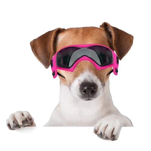 BillionChains Hundebrille mit verstellbarem Riemen, Hundesonnenbrille, UV-Schutz, Winddicht, Hundebrille für Hunde, Pink BillionChains Hundebrille mit verstellbarem Riemen, Hundesonnenbrille, UV-Schutz, Winddicht, Hundebrille für Hunde, Pink von BillionChains
