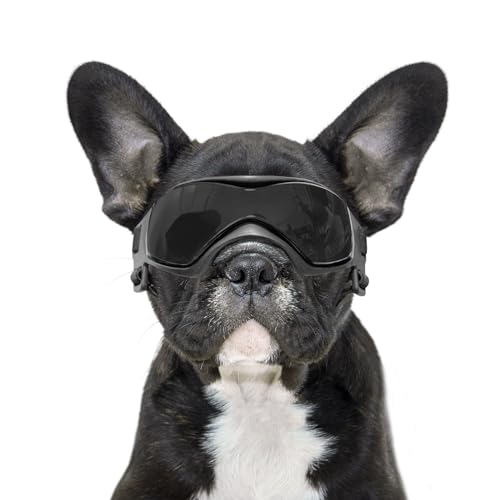 BillionChains Hundebrille mit verstellbarem Riemen, Hundesonnenbrille, UV-Schutz, Winddicht, Hundebrille für Hunde, Schwarz BillionChains Hundebrille mit verstellbarem Riemen, Hundesonnenbrille, UV-Schutz, Winddicht, Hundebrille für Hunde, Schwarz von BillionChains