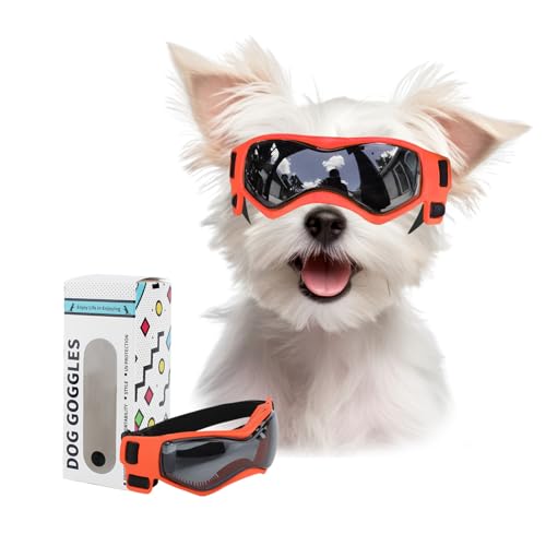 BillionChains Hundebrille mit verstellbarem Riemen, Hundesonnenbrille, UV-Schutz, Winddichte Hundebrille für kleine Hunde, Orange BillionChains Hundebrille mit verstellbarem Riemen, Hundesonnenbrille, UV-Schutz, Winddichte Hundebrille für kleine Hunde, Orange von BillionChains