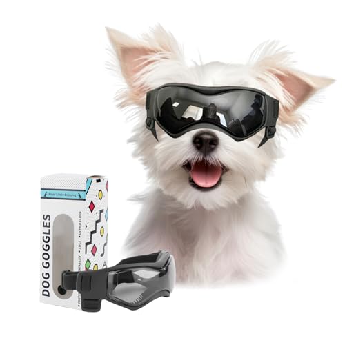 BillionChains Hundebrille mit verstellbarem Riemen, Hundesonnenbrille, UV-Schutz, Winddichte Hundebrille für kleine Hunde, Schwarz BillionChains Hundebrille mit verstellbarem Riemen, Hundesonnenbrille, UV-Schutz, Winddichte Hundebrille für kleine Hunde, Schwarz von BillionChains