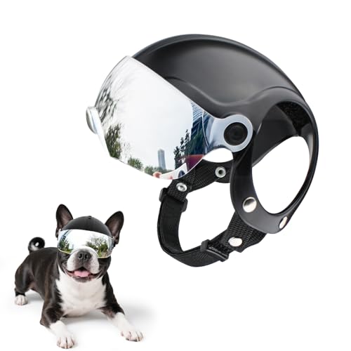 BillionChains Hundehelm mit UV-Schutzbrille, silberfarben, verstellbar, cooler Haustier-Motorradhelm mit herunterklappbarer Sonnenblende, für Gewicht 7,5-12,5 kg BillionChains Hundehelm mit UV-Schutzbrille, silberfarben, verstellbar, cooler Haustier-Motorradhelm mit herunterklappbarer Sonnenblende, für Gewicht 7,5-12,5 kg von BillionChains