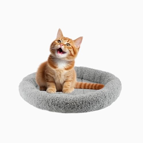 BillionChains Katzenbett, Donut-Bett, Kätzchenbett, gemütlich, weich, waschbar, Haustierbett mit Rutschfester Unterseite für kleine Katzen-35 cm BillionChains Katzenbett, Donut-Bett, Kätzchenbett, gemütlich, weich, waschbar, Haustierbett mit Rutschfester Unterseite für kleine Katzen-35 cm von BillionChains