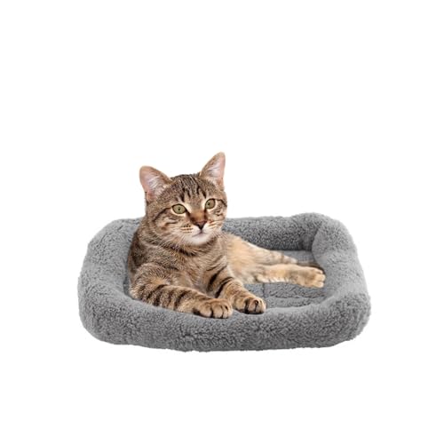 BillionChains Katzenbett für den Innenbereich, Kätzchenbett, gemütlich, weich, waschbar, Haustierbett mit Rutschfester Unterseite-M BillionChains Katzenbett für den Innenbereich, Kätzchenbett, gemütlich, weich, waschbar, Haustierbett mit Rutschfester Unterseite-M von BillionChains