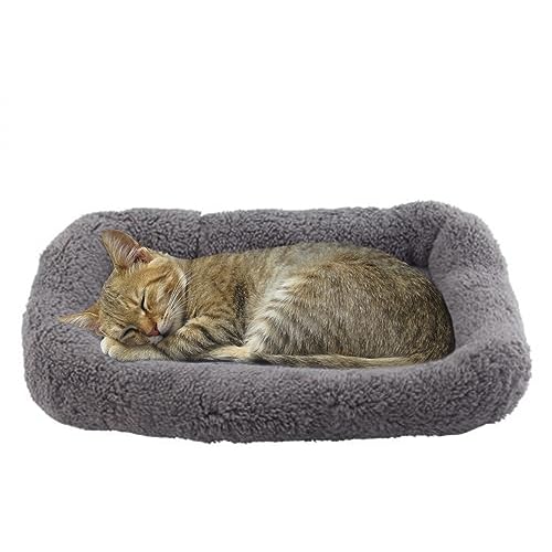 BillionChains Katzenbett für den Innenbereich, Kätzchenbett, gemütlich, weich, waschbar, Haustierbett mit Rutschfester Unterseite-S BillionChains Katzenbett für den Innenbereich, Kätzchenbett, gemütlich, weich, waschbar, Haustierbett mit Rutschfester Unterseite-S von BillionChains
