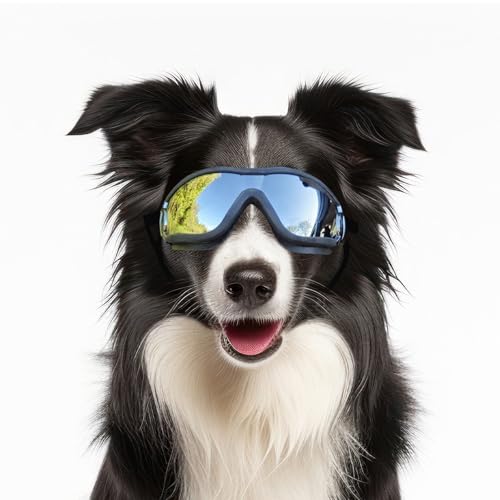 Billionchains Hundebrille Winddichte Staubdichte Augenschutzbrille für Hunde Sonnenbrillen für Mittlere Große Hunde mit Verstellbaren Bändern/Schwarz Billionchains Hundebrille Winddichte Staubdichte Augenschutzbrille für Hunde Sonnenbrillen für Mittlere Große Hunde mit Verstellbaren Bändern/Schwarz von BillionChains