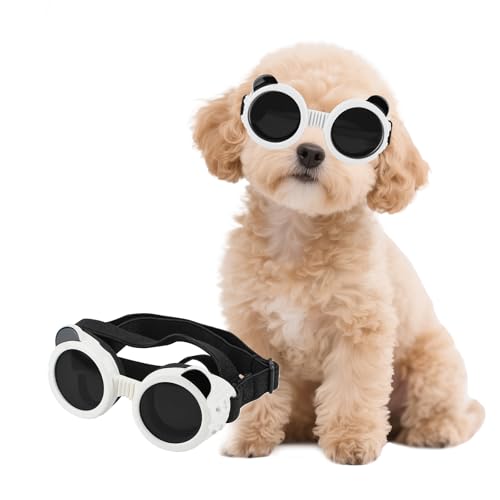 Billionchains Hundebrille für Kleine Hunde UV-Schutz Hundesonnenbrille Einstellbar Hund Motorradbrille für Kleine Hunde/Katzen, Weiß Billionchains Hundebrille für Kleine Hunde UV-Schutz Hundesonnenbrille Einstellbar Hund Motorradbrille für Kleine Hunde/Katzen, Weiß von BillionChains