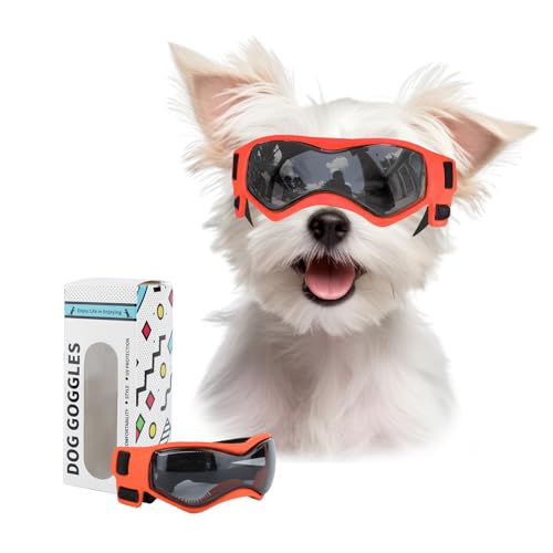 Billionchains Hundebrille für kleine Rassen, UV-Schutz, winddicht, mit verstellbaren Kopfgurten, Kinnriemen für Fahrt, Auto, Wandern, Reisen, Strand, Orange Billionchains Hundebrille für kleine Rassen, UV-Schutz, winddicht, mit verstellbaren Kopfgurten, Kinnriemen für Fahrt, Auto, Wandern, Reisen, Strand, Orange von BillionChains