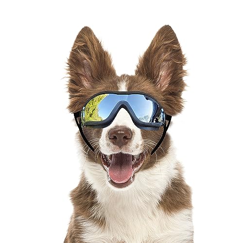 Billionchains Hundebrille für mittelgroße bis große Rassen, UV-Schutz, mit verstellbaren Trägern, silberfarben Billionchains Hundebrille für mittelgroße bis große Rassen, UV-Schutz, mit verstellbaren Trägern, silberfarben von BillionChains
