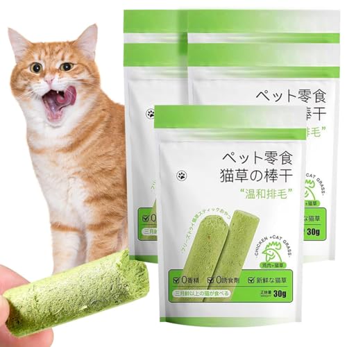 Kaustäbchen für Katzen Katzenminze Wandball Natürlicher Gras-Molarenstab Katzengras Sticks Katzengras Katzengrasstäbchen für Wohnungskatzen Kauspielzeug für Katzen zur Zahnpflege Zahnreiniger (5 PCS) Kaustäbchen für Katzen Katzenminze Wandball Natürlicher Gras-Molarenstab Katzengras Sticks Katzengras Katzengrasstäbchen für Wohnungskatzen Kauspielzeug für Katzen zur Zahnpflege Zahnreiniger (5 PCS) von Bimhayuu